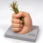 Grass Firmly Grasped in Hand Model